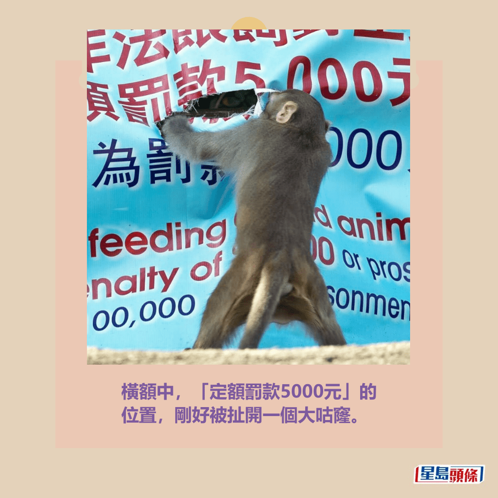 橫額中,「定額罰款5000元」的 位置,剛好被扯開一個大咕窿。Threads截圖 橫額中,「定額罰款5000元」的 位置,剛好被扯開一個大咕窿。Threads截圖
