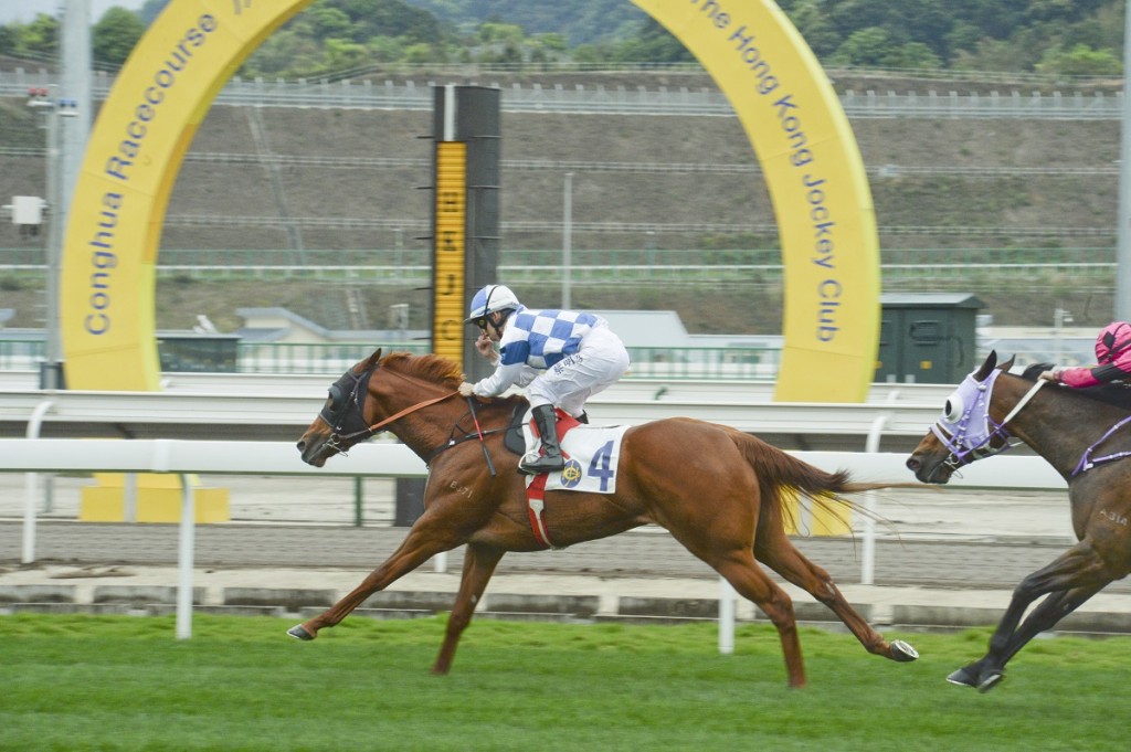 香港賽馬會盃由蔡明紹策騎的雪戰神駒勝出。