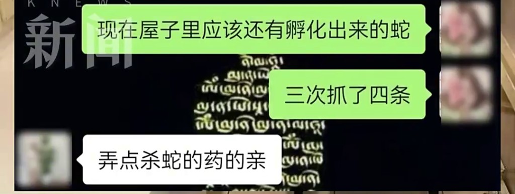 網店客服回當事人的話。 網店客服回當事人的話。