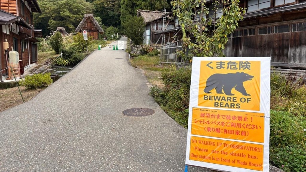 白川鄉合掌村出現多宗熊出沒通報。美聯社