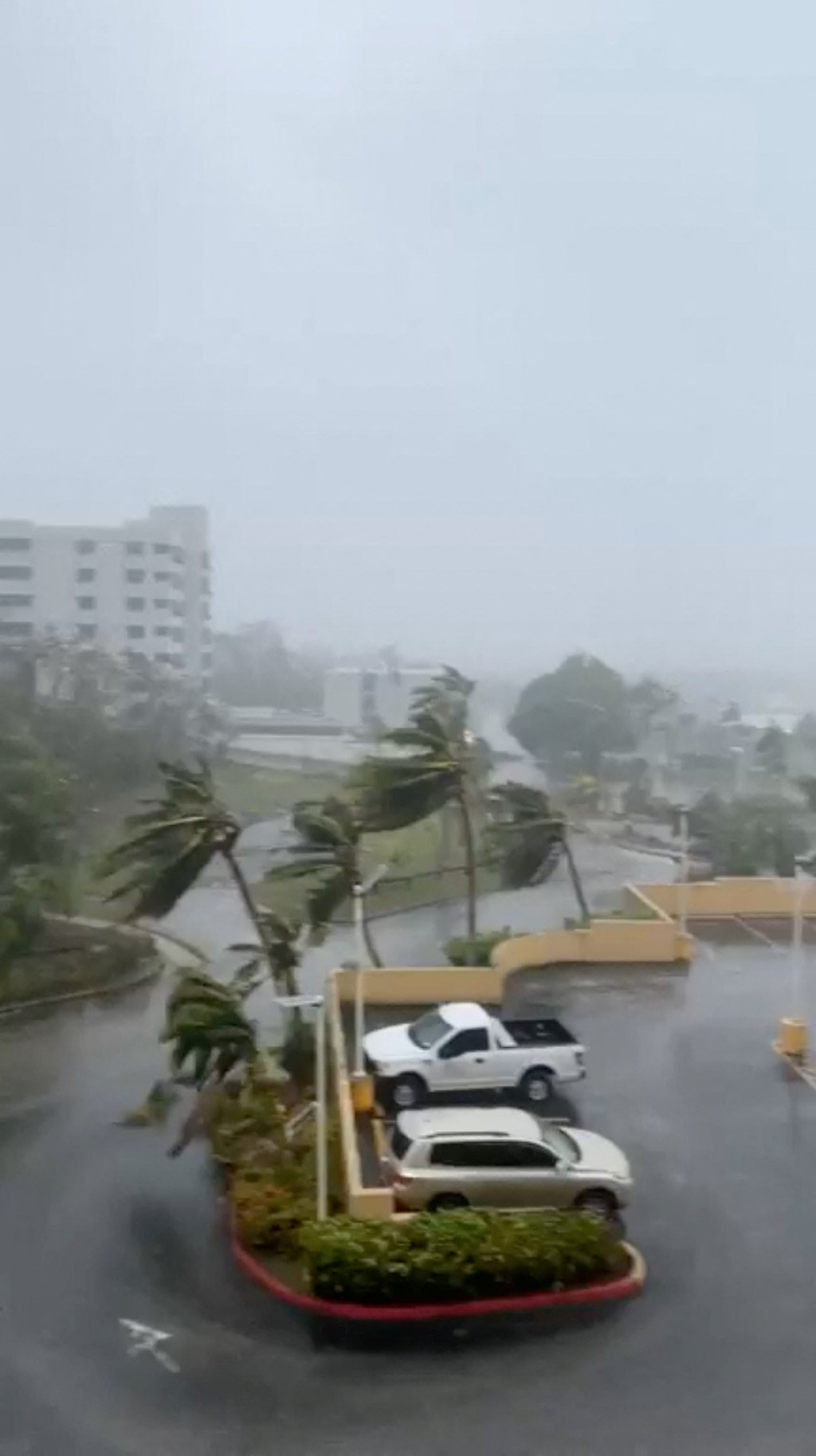 颱風瑪娃（Typhoon Mawar）挾帶強風直撲關島，樹被吹歪。 路透社