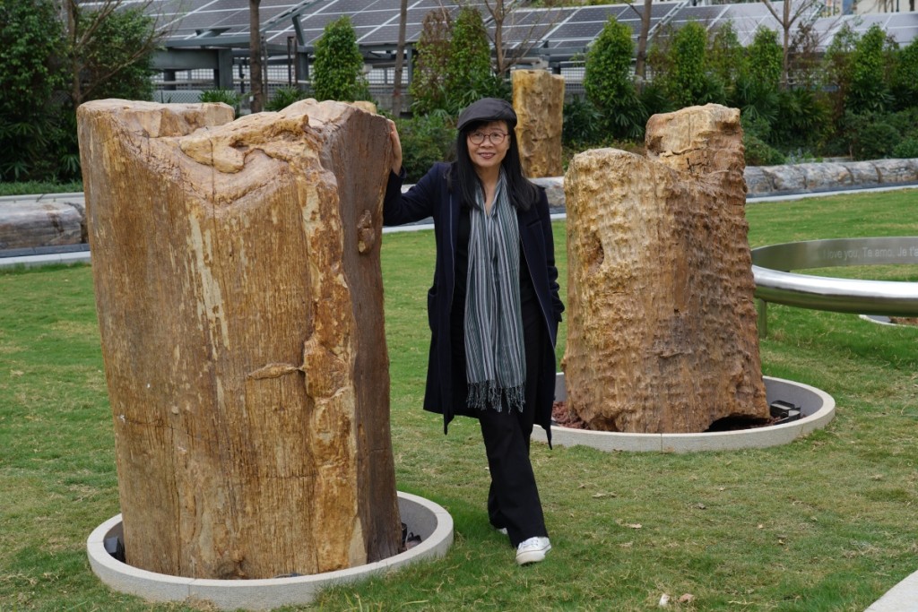 「我以時間作為公園主題，因為所有人都與時間有關，而木化石本身就是時間的見證」