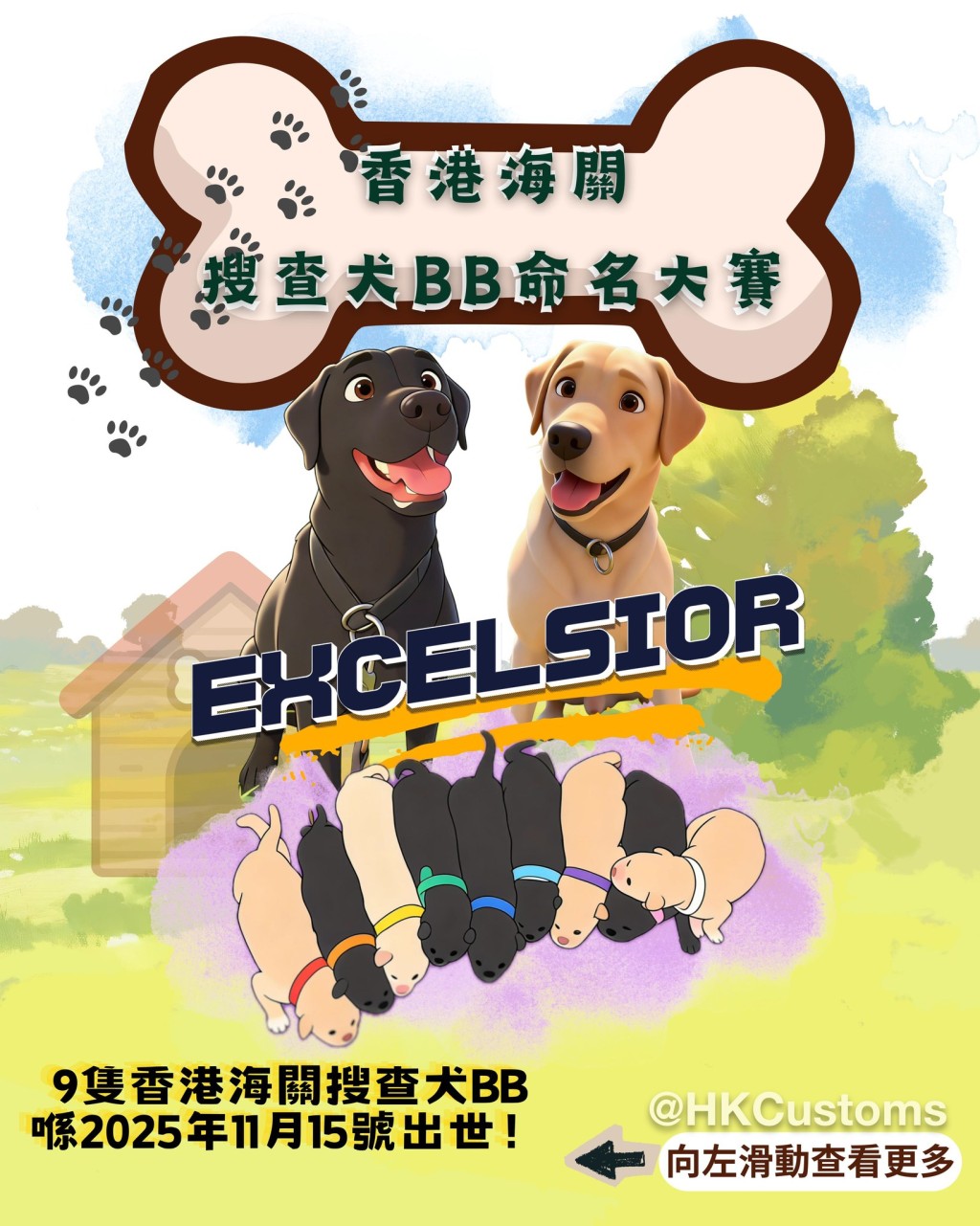海關舉辦搜查犬BB命名比賽，邀請公眾為9隻拉布拉多尋回犬BB命名。海關facebook圖片