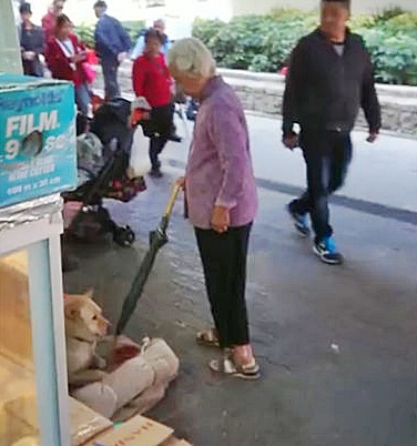 影片截圖