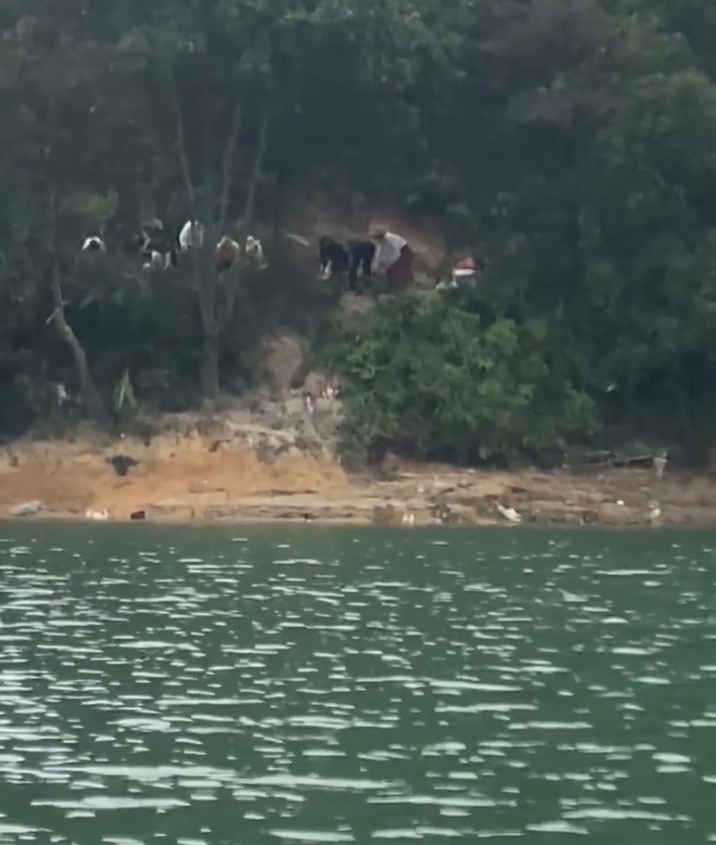 岸上的人邊播佛經邊放生。微博@韓路