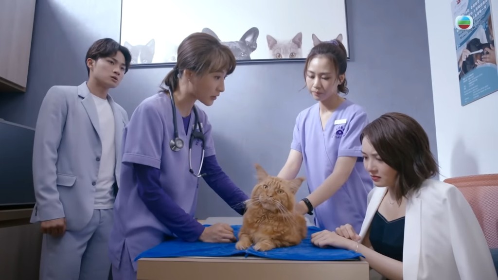 何沛珈（右二）有份演出TVB剧《宠爱Pet Pet》。
