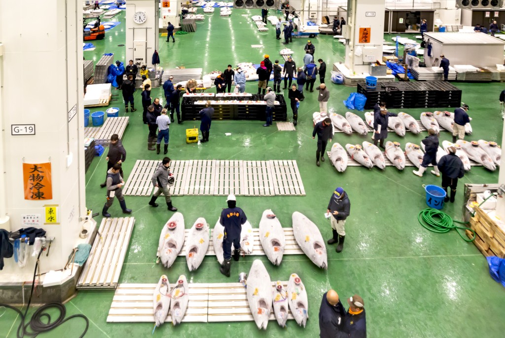 日本漁產品業因中國禁令遭受巨大打擊。