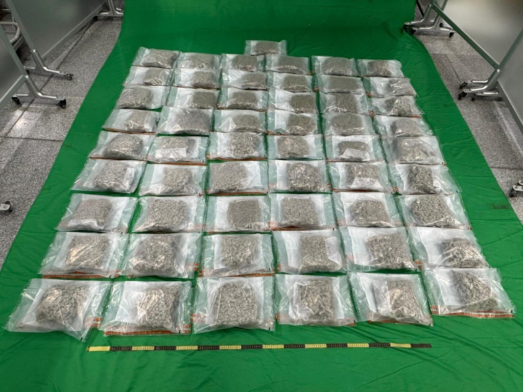 第二宗案件中檢獲的懷疑大麻花。政府新聞處圖片 第二宗案件中檢獲的懷疑大麻花。政府新聞處圖片