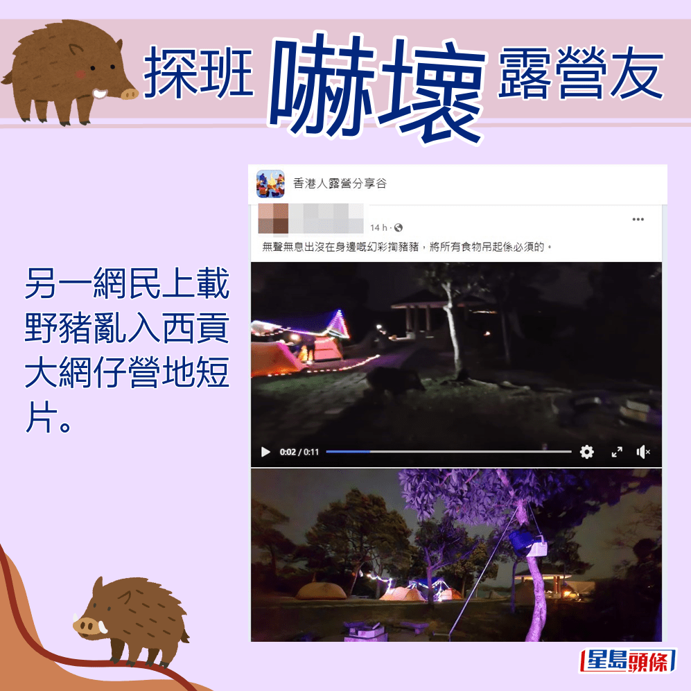 另一網民上載野豬亂入西貢大網仔營地短片。fb「香港人露營分享谷」截圖