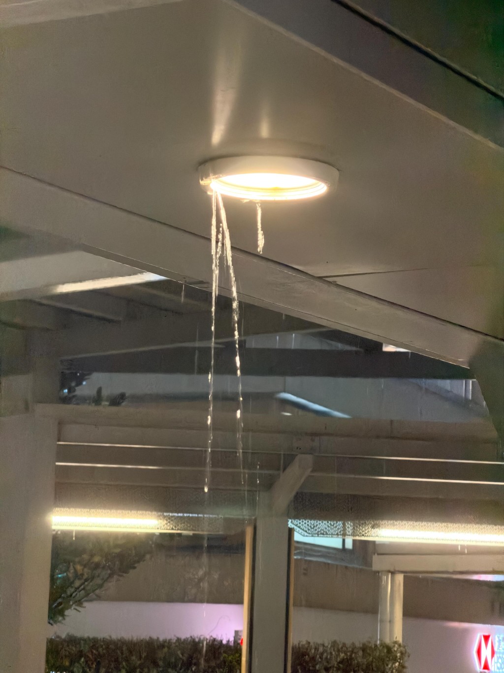 燈罩漏水。網上圖片 燈罩漏水。網上圖片
