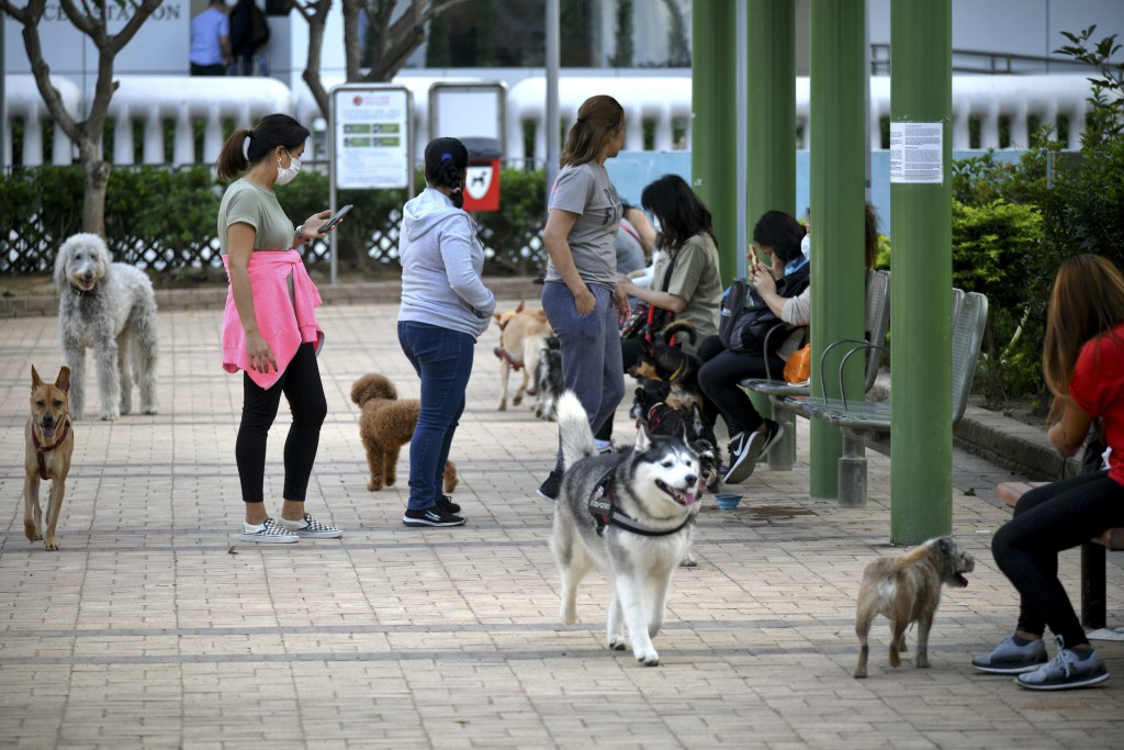 「寵物共享公園」的概念是將現有的公園開放予市民攜同寵物共享，促進社區交流融合。資料圖片