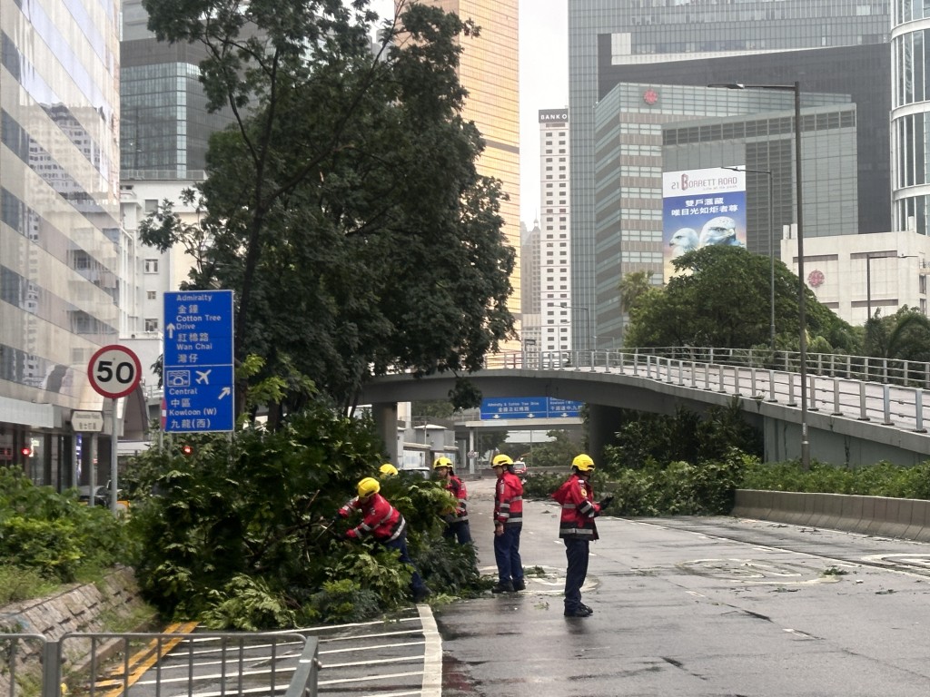 對面線告士打道往西環方向，亦有大樹倒塌。