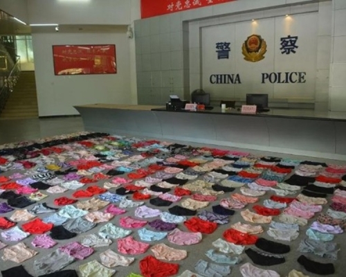 4年偷逾400件女性内衣裤。网图