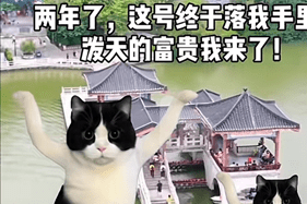 猫咪「霸屏」政务新媒体火遍全网。