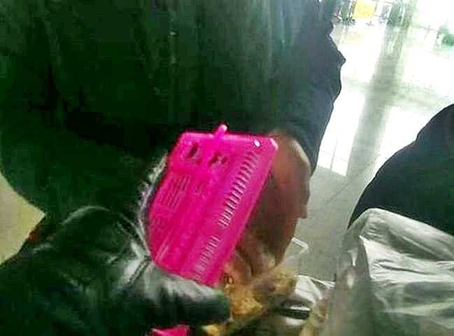 男子安檢時,被拒帶倉鼠上火車。網圖