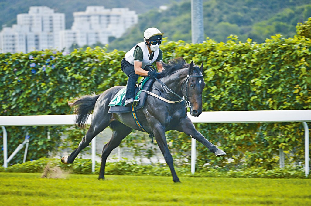 希斯認為「耀力之城」適合谷戰，今次強配潘頓有助開齋。