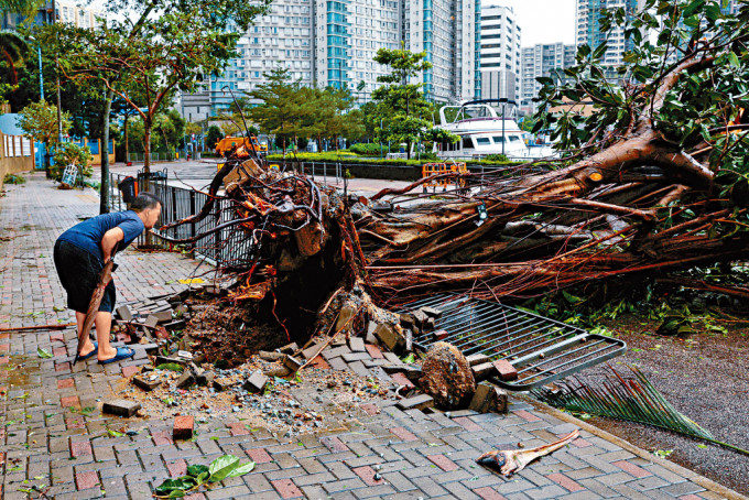 超強颱風「蘇拉」襲港懸掛十號風球，排第5位。資料圖片