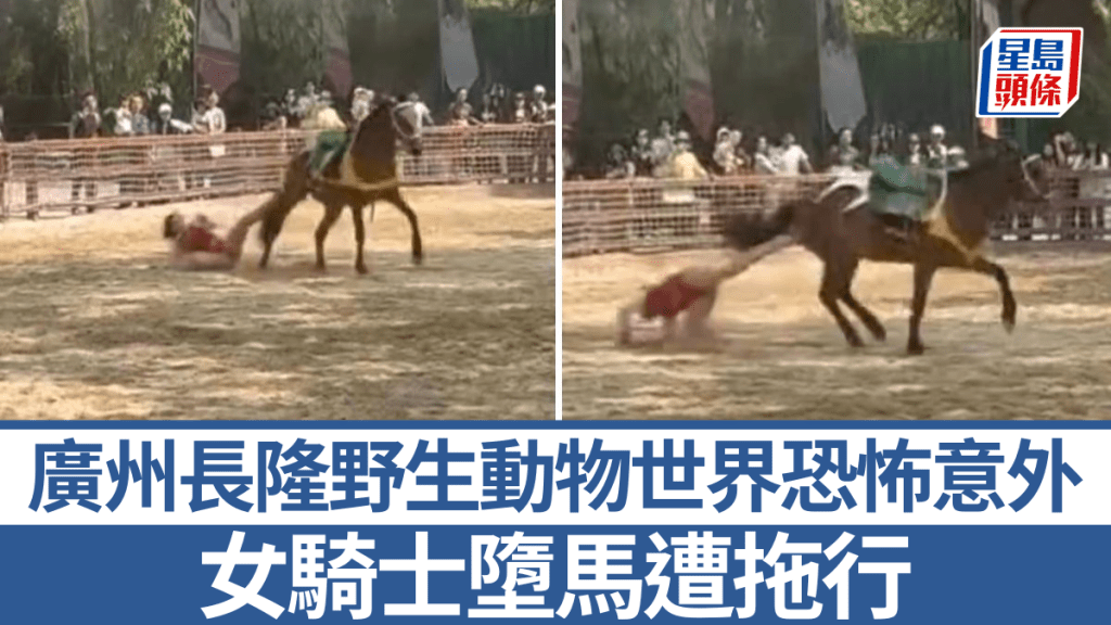 廣州長隆野生動物世界騎士劇場，疑似有馬匹受驚，有表演人員被拖行。