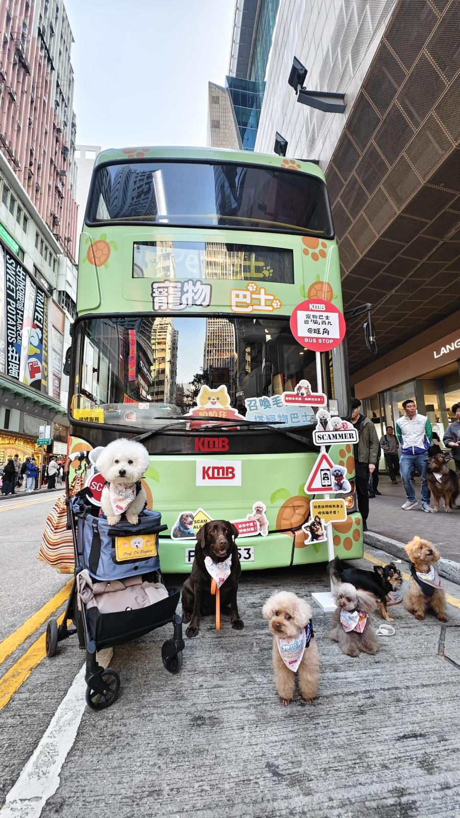 一眾狗醫生和狗教授到達活動的最後一個關卡。