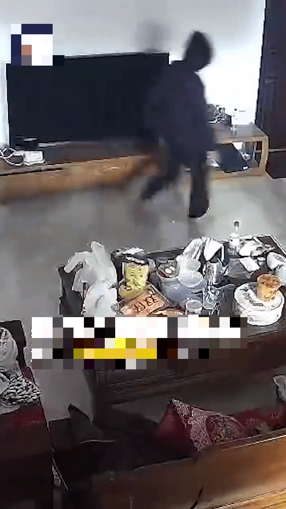 监控镜头拍下窃贼作案。央视