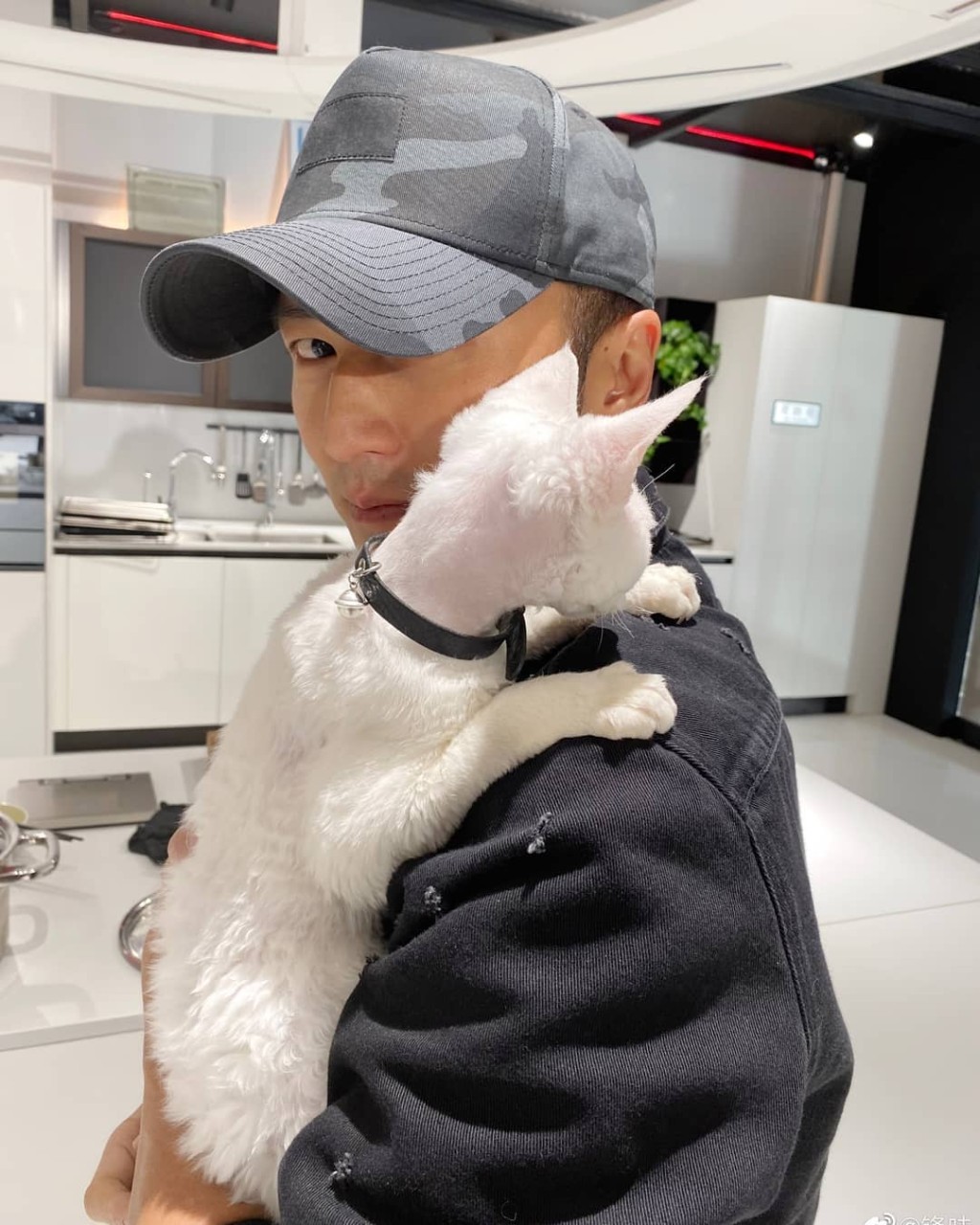 霆鋒抱住愛貓開工唔願放。