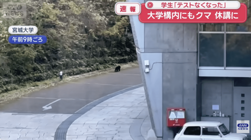 宮城大學校園閉路電視拍到熊影,校方緊急停課並改為網課。 宮城大學校園閉路電視拍到熊影,校方緊急停課並改為網課。
