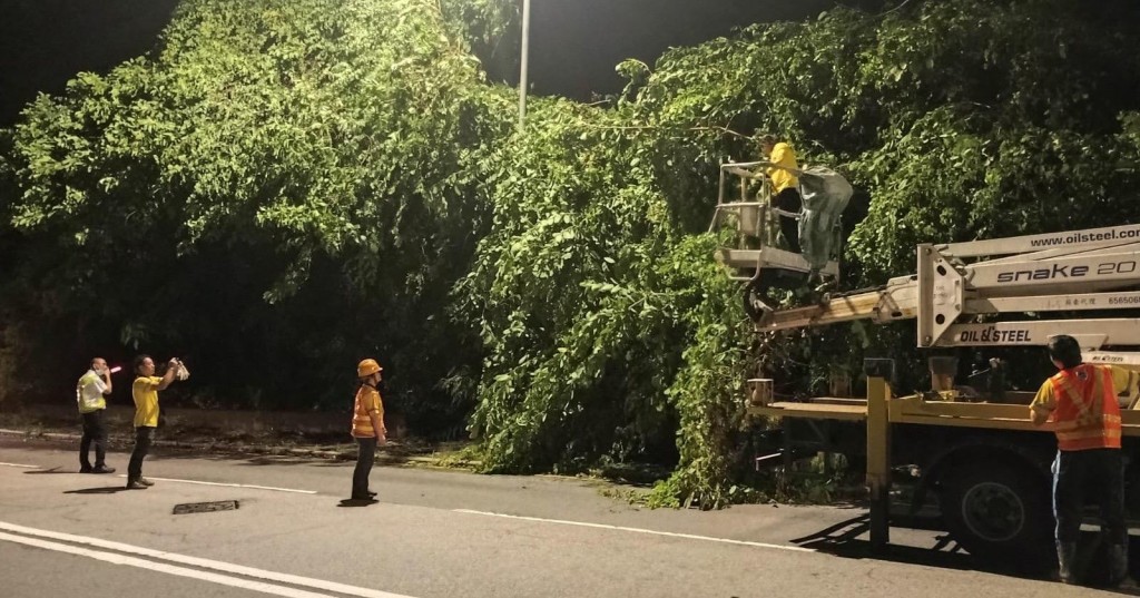 台风过后港岛部分路段塌树严重，影响行车。城巴提供