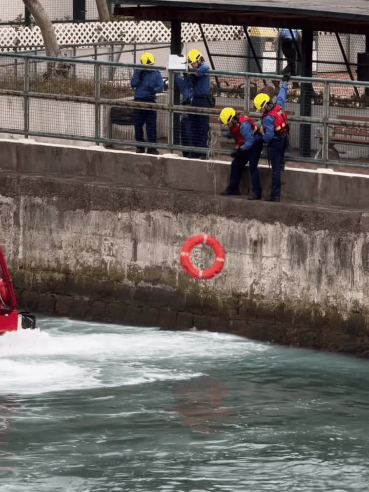 消防員試圖用綁有繩索的救生圈拯救野豬,可惜無果。Threads:c.hei_ 消防員試圖用綁有繩索的救生圈拯救野豬,可惜無果。Threads:c.hei_