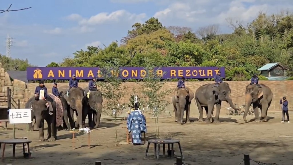 日本千叶县市原象之国饲养多头大象。 市原ぞうの国 日本千叶县市原象之国饲养多头大象。 市原ぞうの国