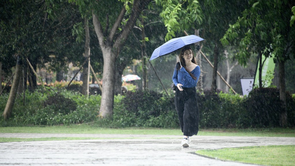 天气｜天文台：与广阔低压槽相关雷雨区正逐渐靠近 短期内广泛地区或受大雨影响