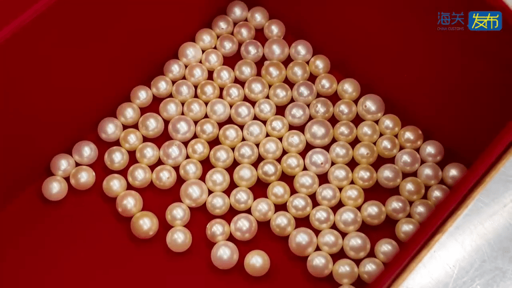 北上男煙盒藏5399顆珍珠,福田口岸斷正。 海關發布 北上男煙盒藏5399顆珍珠,福田口岸斷正。 海關發布