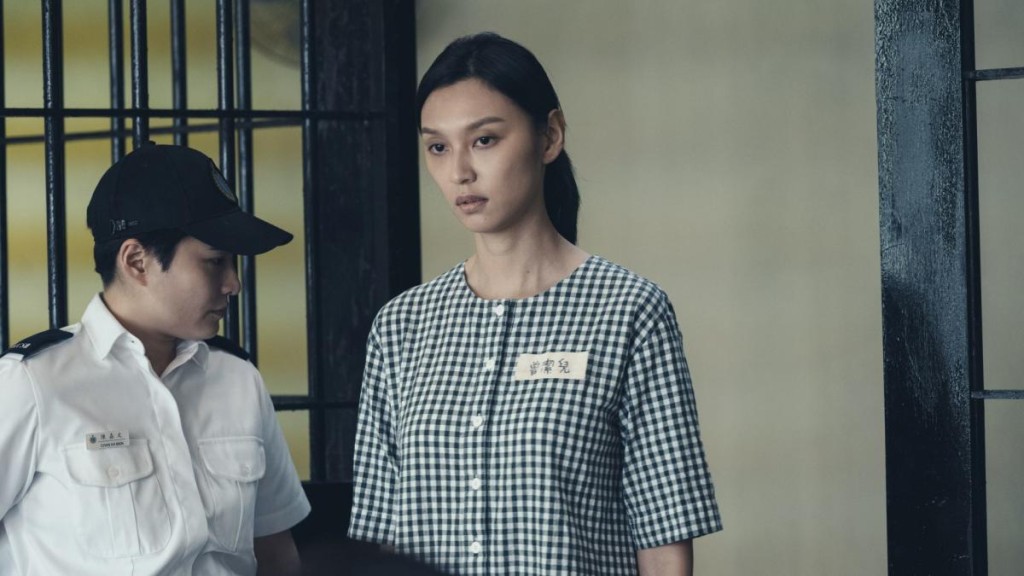 第42屆香港電影金像獎最佳女主角提名：王丹妮《毒舌大狀》