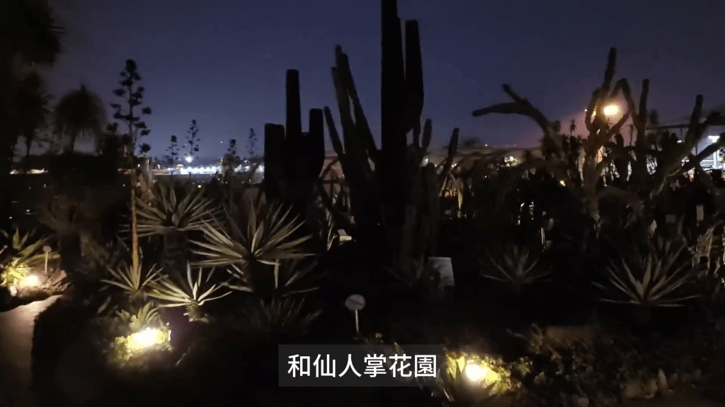 回港前在新加坡樟宜机场 18 小时转机,体验机场的免费过夜休息区,到睡莲公园和仙人掌花园走了一趟,将省钱大法发挥到极致。 回港前在新加坡樟宜机场 18 小时转机,体验机场的免费过夜休息区,到睡莲公园和仙人掌花园走了一趟,将省钱大法发挥到极致。
