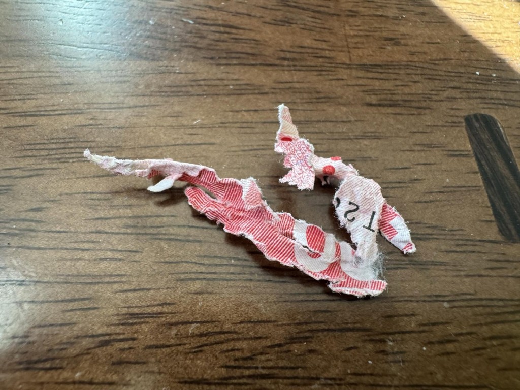 Threads截圖(資料來源:annamaow@Threads) Threads截圖(資料來源:annamaow@Threads)