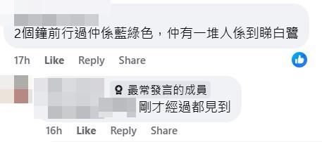 網民：兩個鐘前行過仲係藍綠色，仲有一堆人係到睇白鷺。fb「顯影屯門。青山散步」截圖