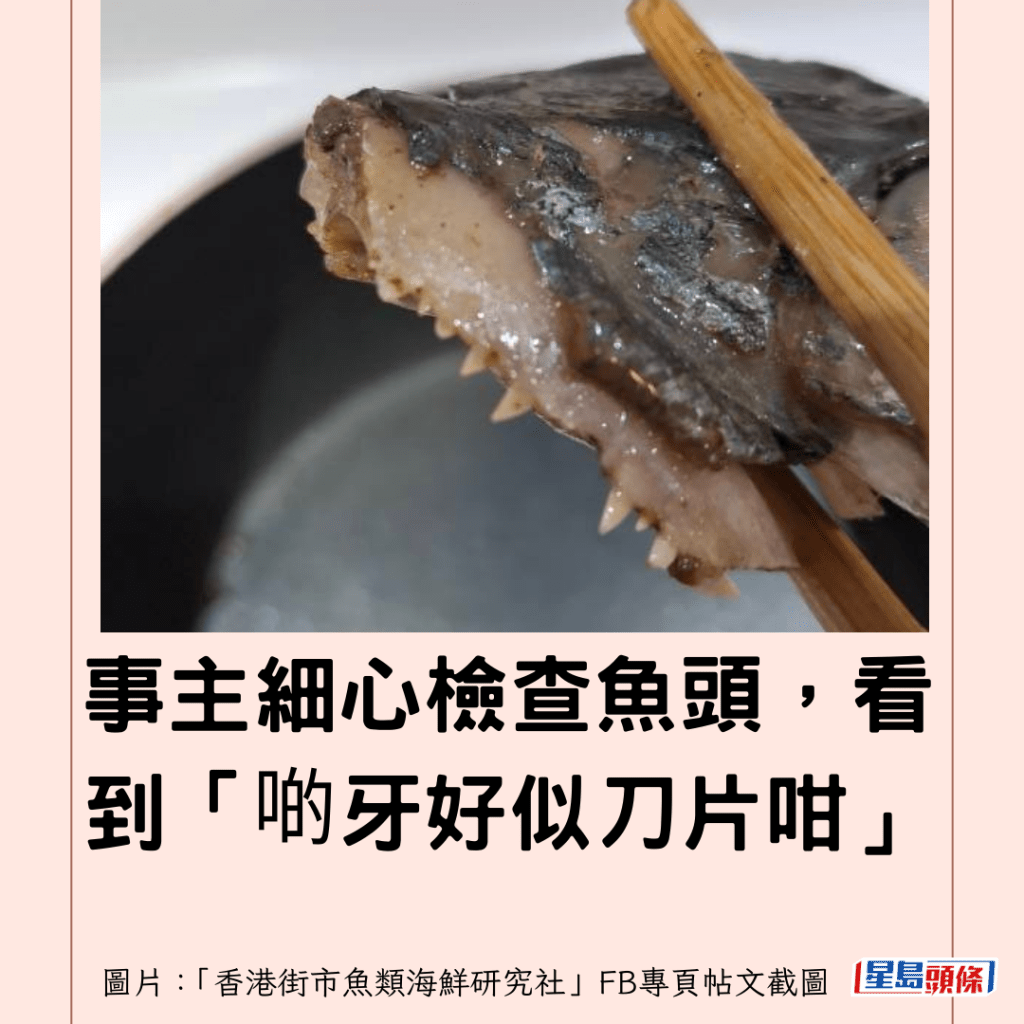  事主細心檢查魚頭，看到「啲牙好似刀片咁」