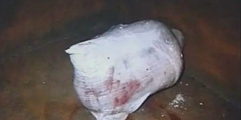 網傳裝着屍體、突出頭部的白色編織袋。