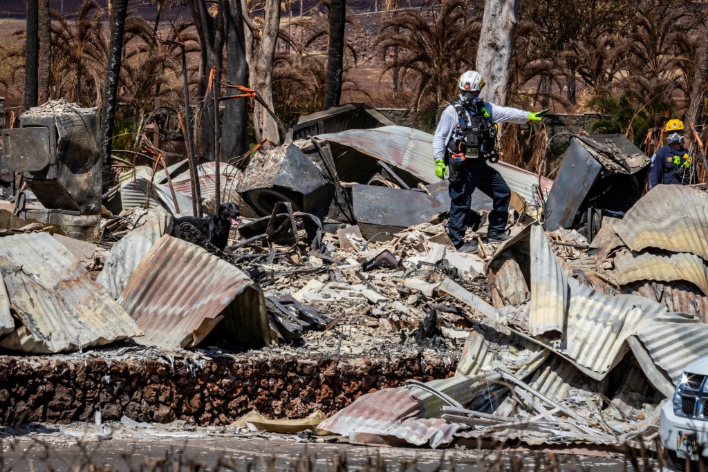 拉海納鎮災後畫面。AP/路透社