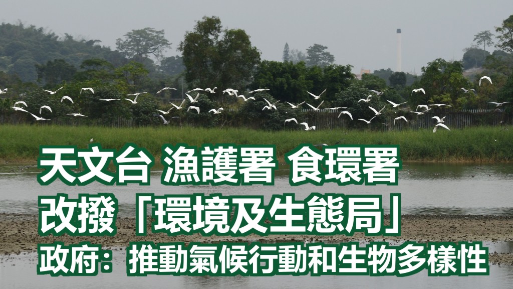 政府指新架構可在減廢回收、生態保育和漁農業發展等多個政策範疇產生協同效益。資料圖片