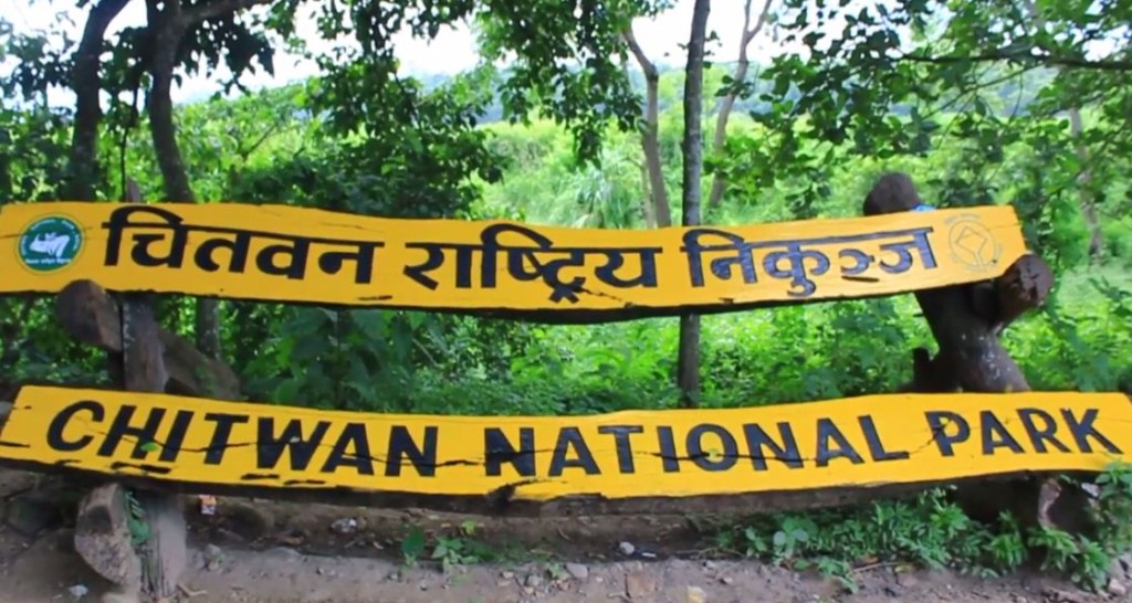 尼泊爾奇特旺國家公園。Chitwan National Park