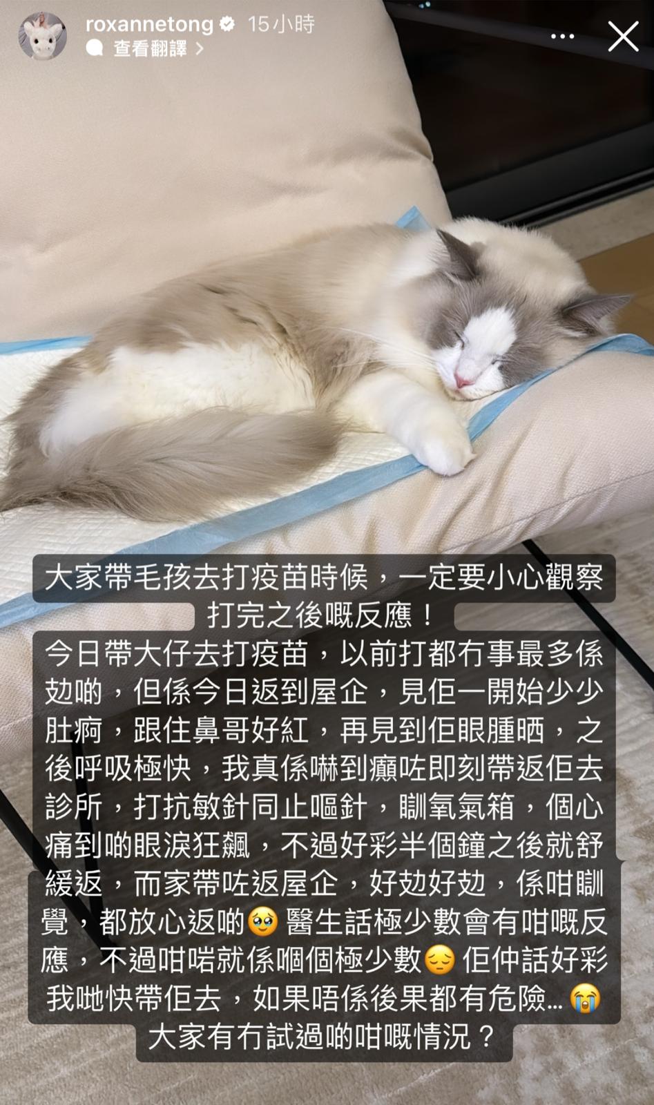 靓汤在IG限时动态贴出Tino睡在猫垫的照片。