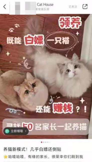 網圖