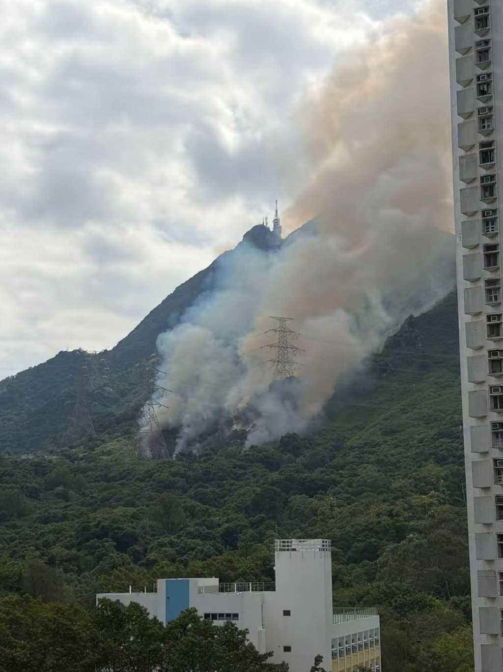 现场为屯门旺贤街对开菠萝山山坡。FB:屯门友 现场为屯门旺贤街对开菠萝山山坡。FB:屯门友