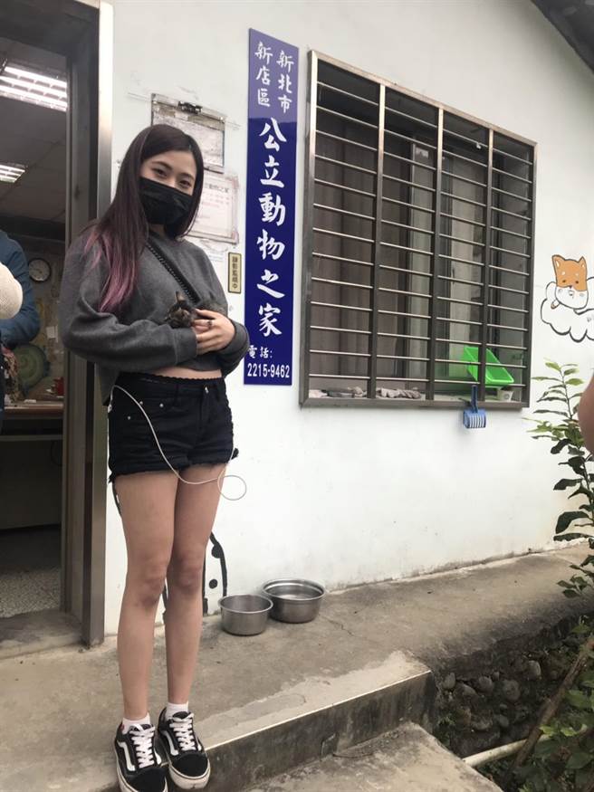新主人。網圖