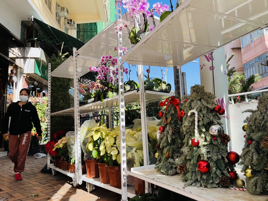今年聖誕節與農曆新年相距不足一個月，花墟商販同時售賣聖誕樹與年花。