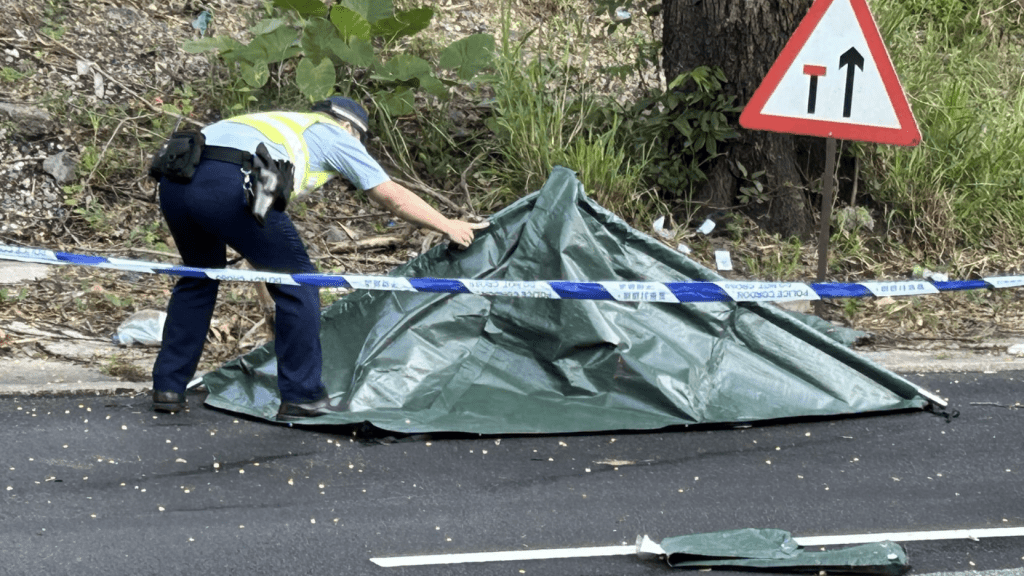 文錦渡路 私家車追尾撞貨車 女司機爆頭當場死亡。蔡楚輝攝 文錦渡路 私家車追尾撞貨車 女司機爆頭當場死亡。蔡楚輝攝