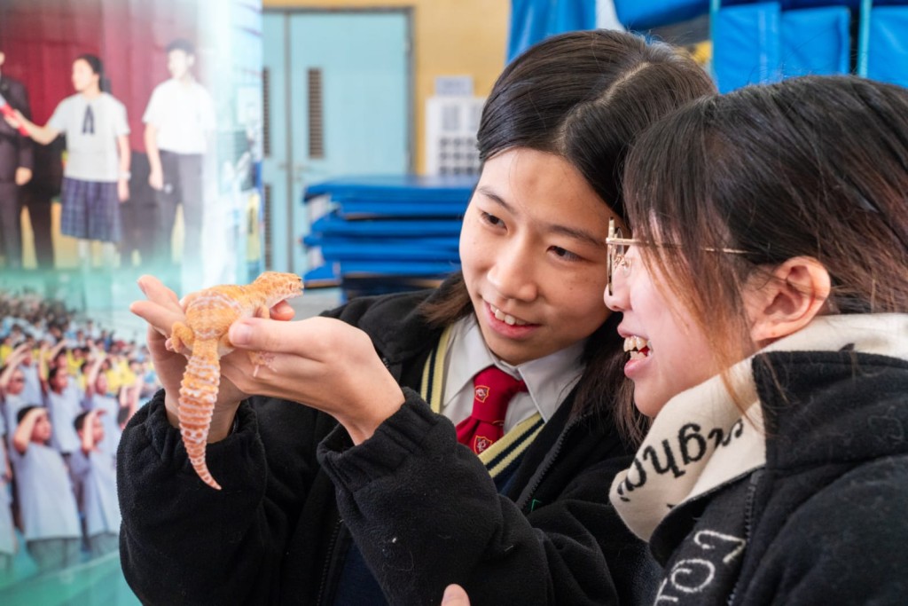寵愛閣不僅僅是一個動物培育中心，更是一個讓學生親身學習生態保護的樂土。