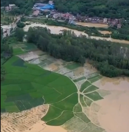 受持續暴雨影響,廣東多地嚴重水浸。(網圖)