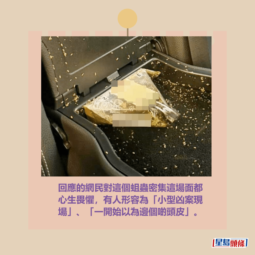 回應的網民對這個蛆蟲密集這場面都 心生畏懼,有人形容為「小型凶案現 場」、「一開始以為邊個啲頭皮」。Threads截圖 回應的網民對這個蛆蟲密集這場面都 心生畏懼,有人形容為「小型凶案現 場」、「一開始以為邊個啲頭皮」。Threads截圖
