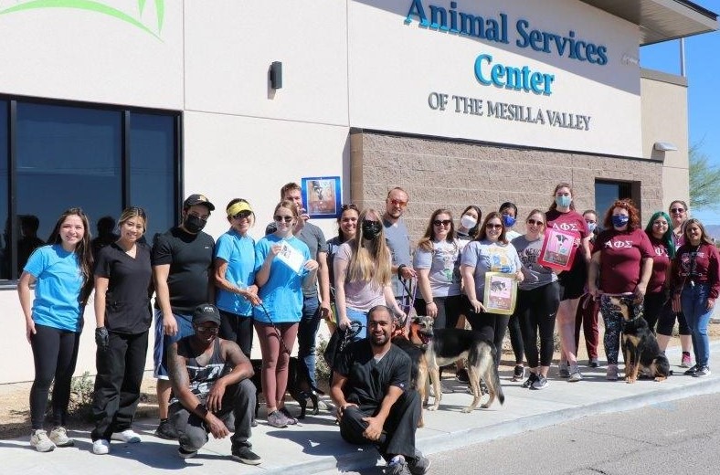 新墨西哥州动物服务中心与义工。网上图片